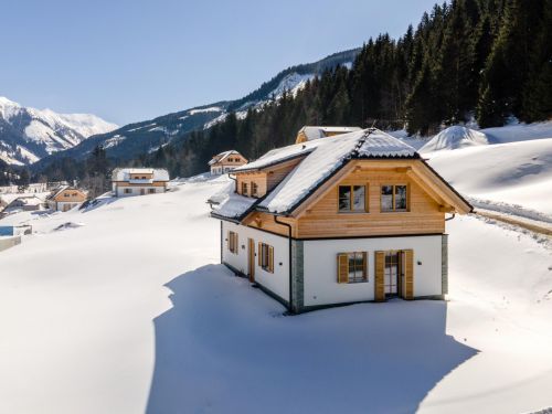 Chalet Riesneralm Liene - 8-9 personen in Donnersbachwald