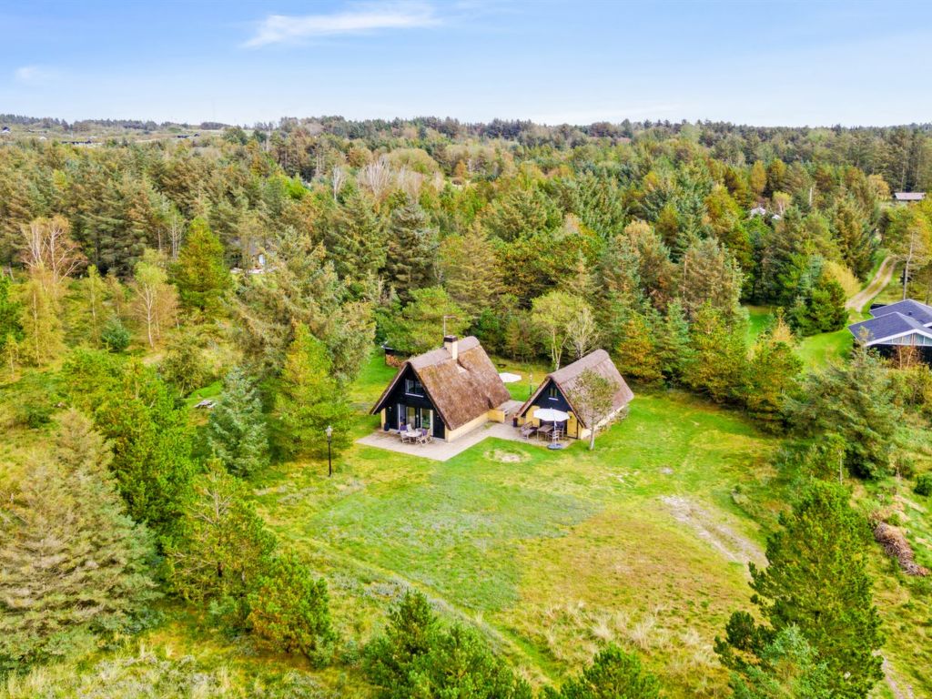 "Gorjan" - all inclusive - 1.2km from the sea in NW Jutland in Saltum Regio Noordwest-Jutland