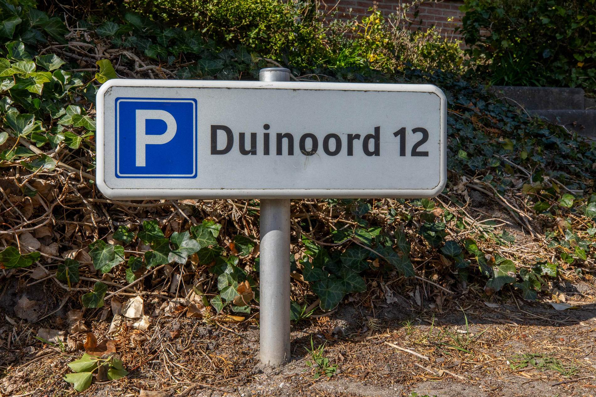 Appartement 'Duinoord' - Duinweg 117-12 | Zoutelande in Zoutelande -4 personen