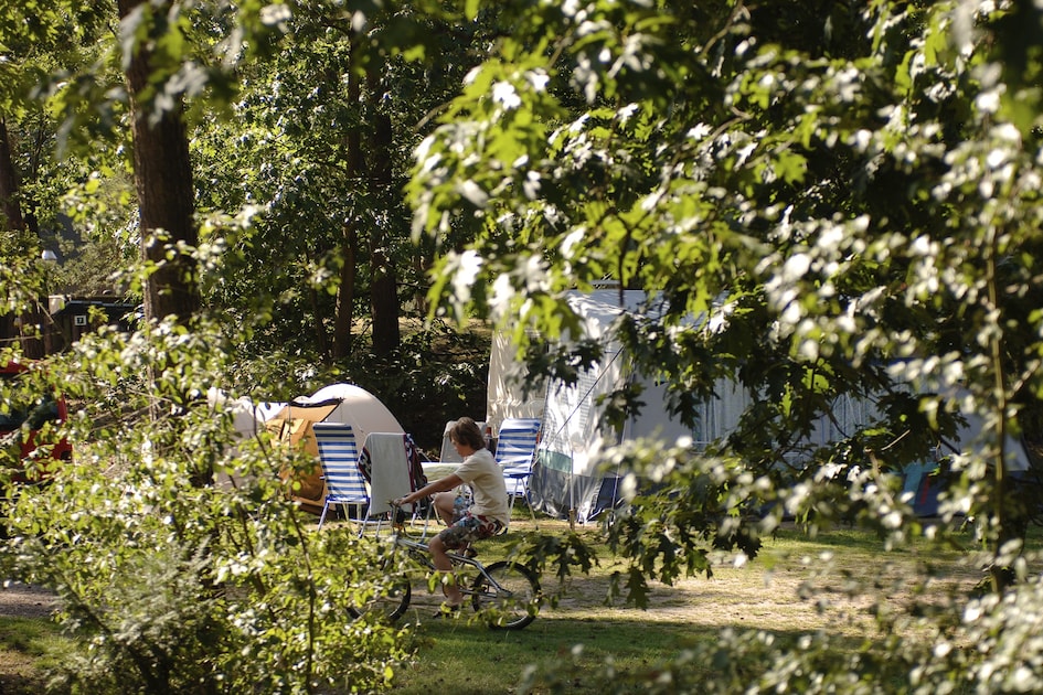 Comfort veld Vlinder in Mierlo -6 personen