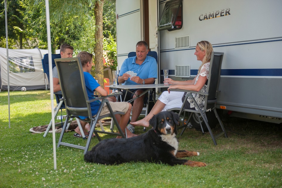 Camper veld K in Arcen -6 personen
