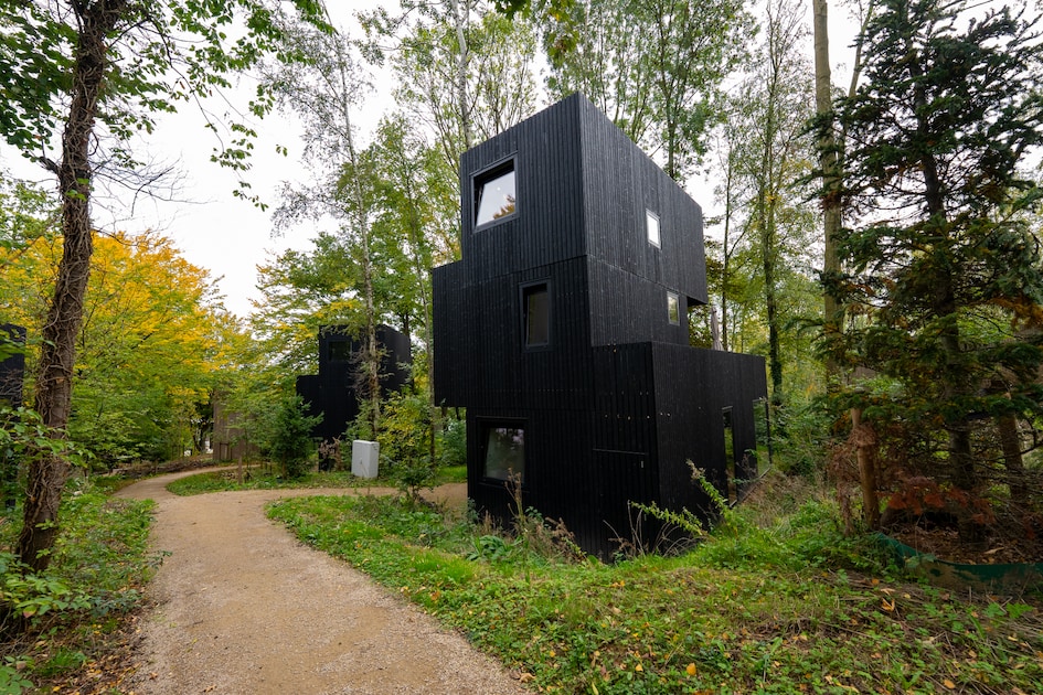 Treehouse 6 in Gulpen -6 personen