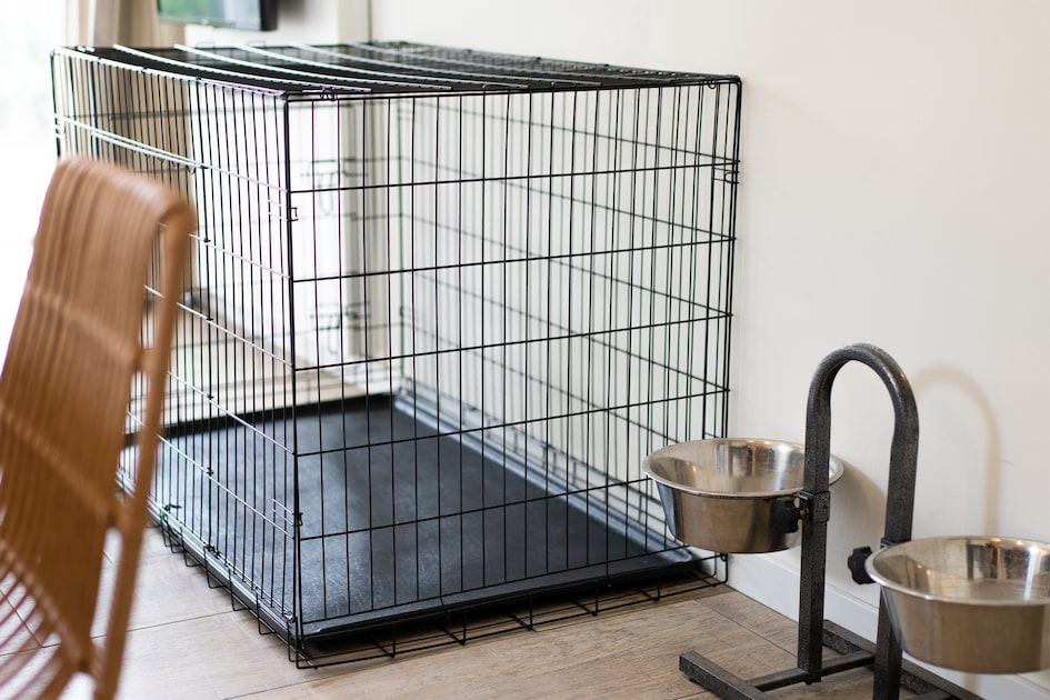 Hondenbungalow 6C in Ouddorp -6 personen