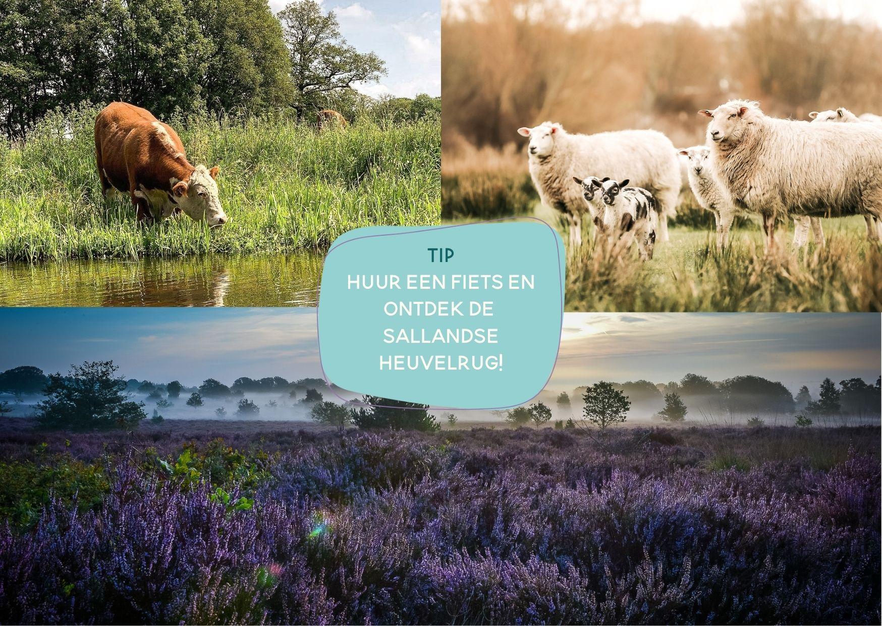 Boutique suite I 2 persons in Zuna -2 personen