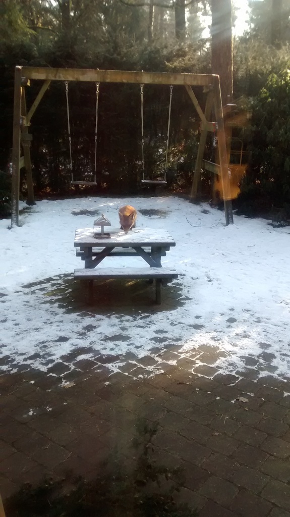 6 Persoons boshuisje in Emst op park de Vliegden in Emst - Max. 6 personen