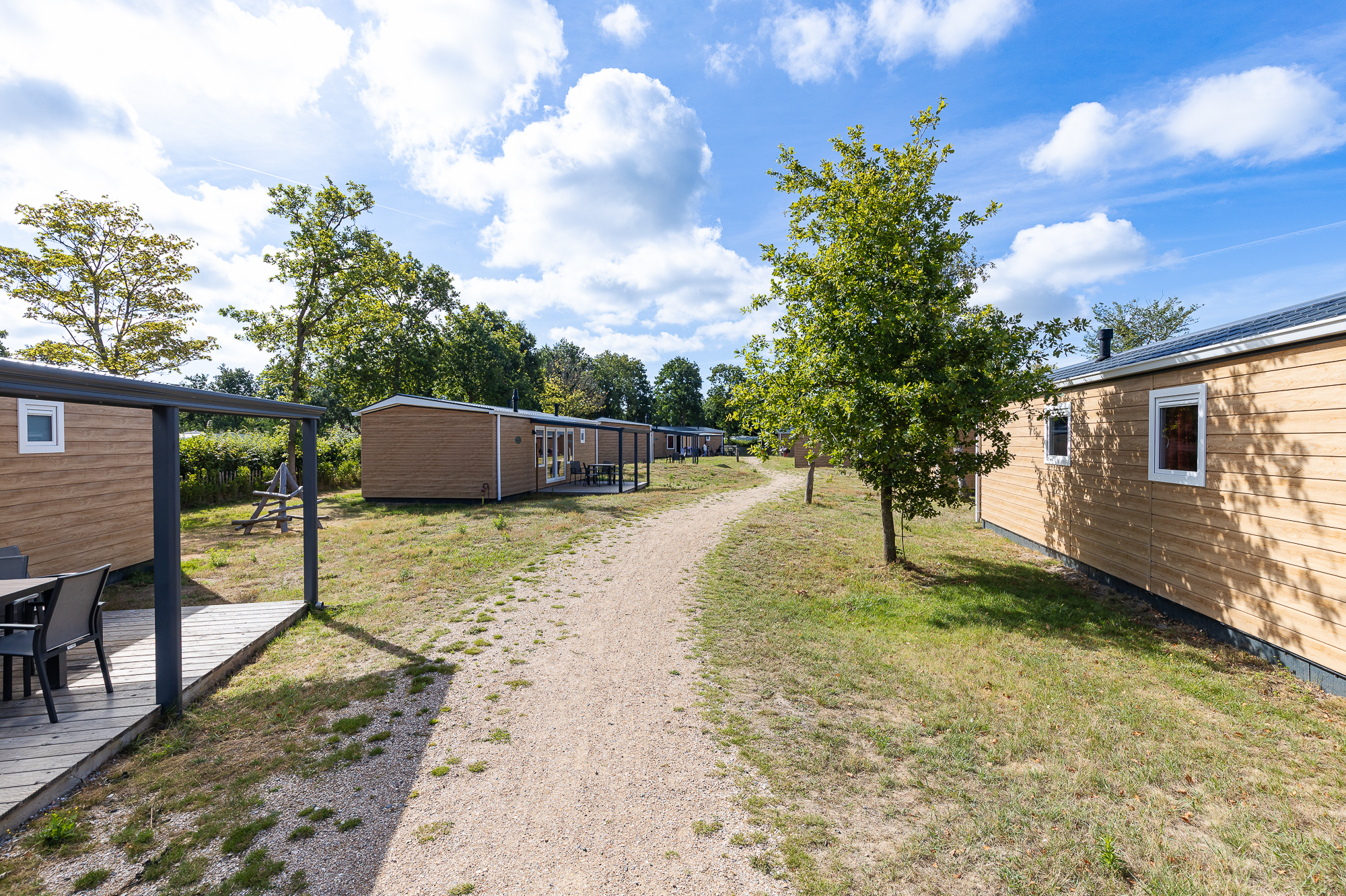 Chalet - De Duinhoeve 'Bosdier' - Maireweg 7 | Burgh-Haamstede in Burgh-Haamstede -4 personen