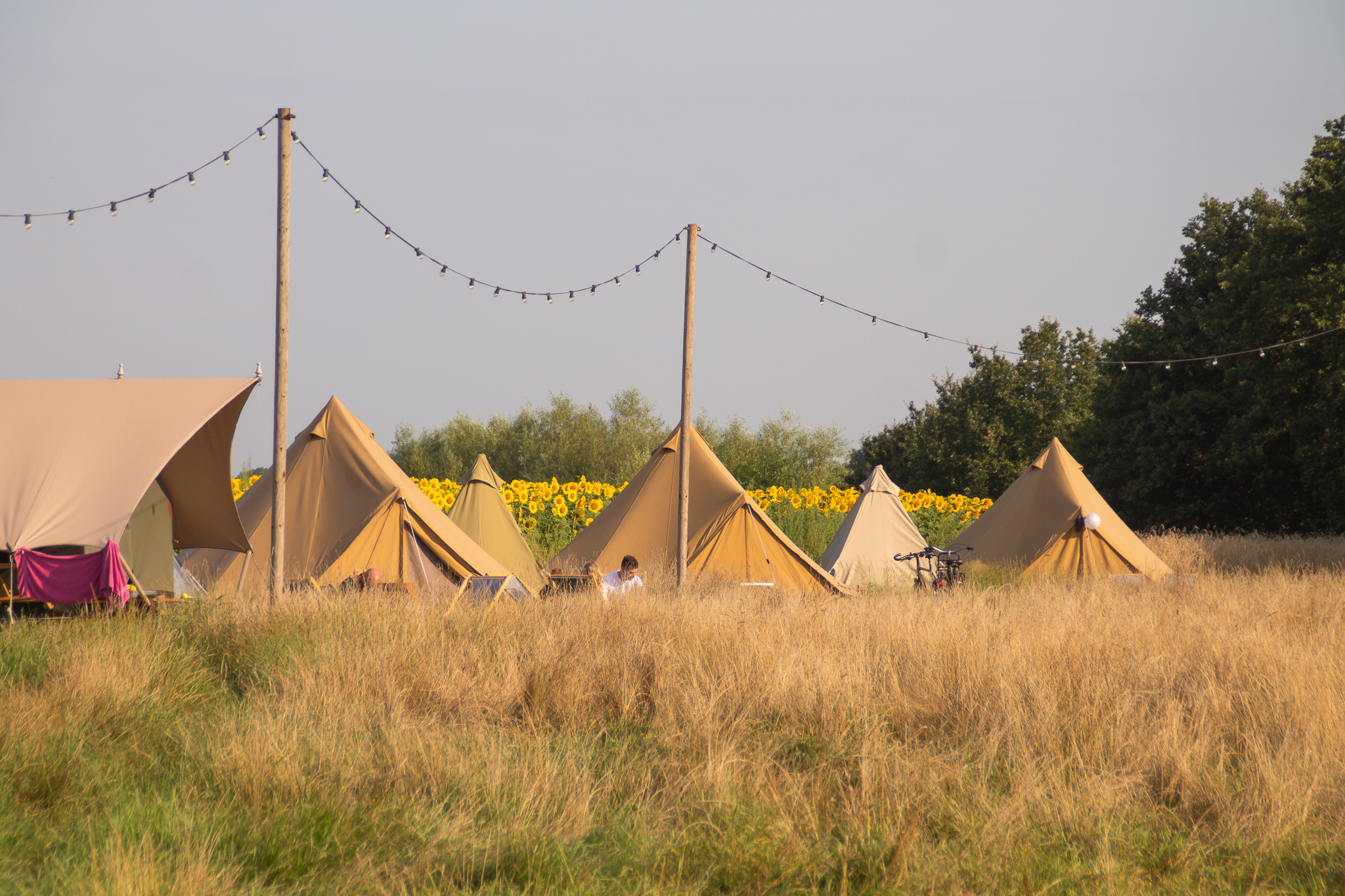 Pop-up glamping: Buurvrouws' Belltentje | 2-4 pers. in Zuna -2 personen