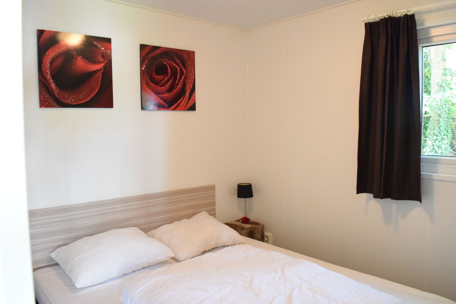 6 person Veluwe lodge Wellness Plus in Voorthuizen -6 personen