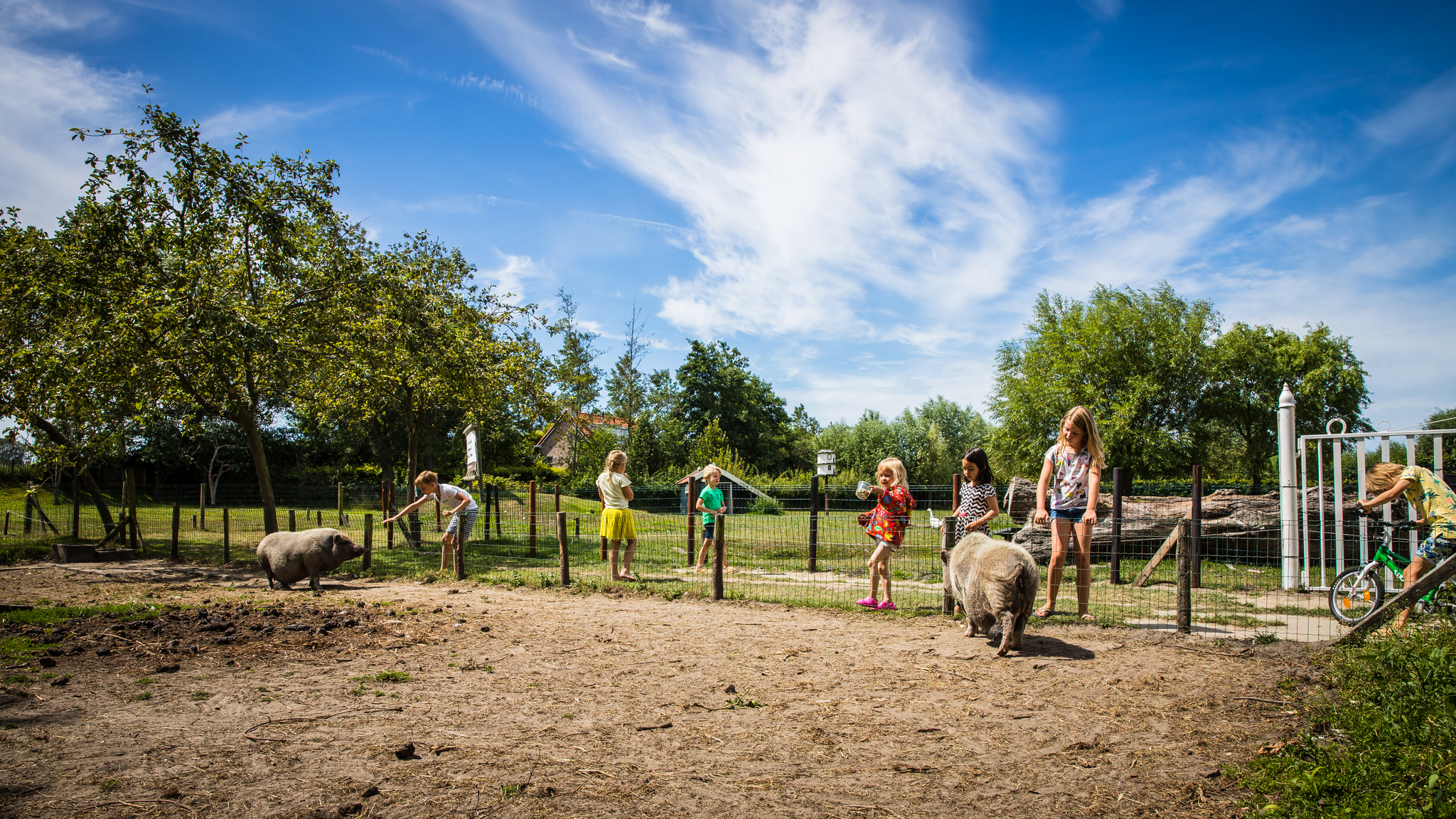 Apt - Kon. Emmaweg 26 | Vrouwenpolder 'U in Vrouwenpolder -2 personen