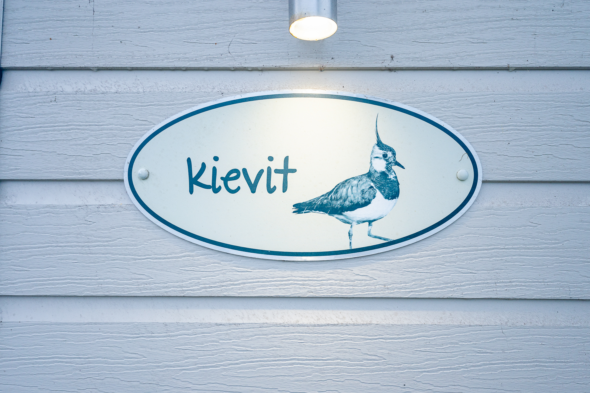 Duinhoeve Chalet Vogel - Huisdier niet toegestaan in Burgh-Haamstede -4 personen