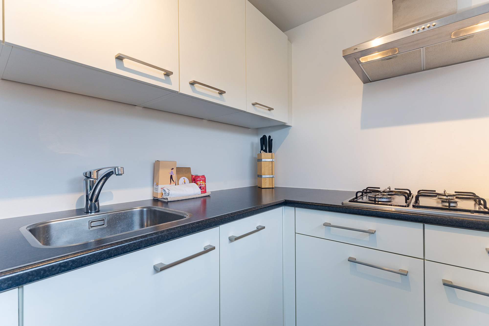 Zonnedorp 19 Modern holiday home Renesse | Beach within walking distance in Renesse -6 personen